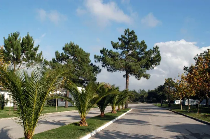 Camping - Quiaios - Centro - Quiaios