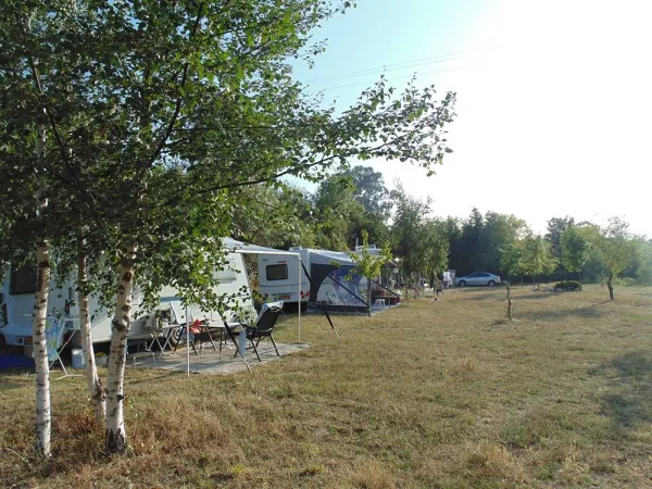 Camping - Gouveia - Centro - Quinta das Cegonhas