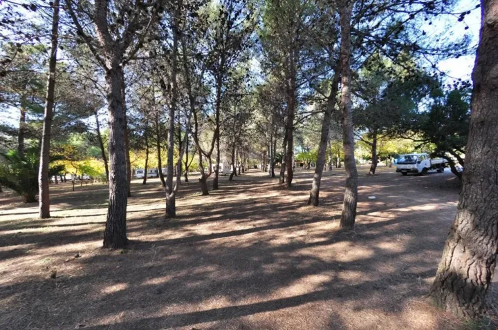 Camping - Olmeto - Corse - Ras L'Bol