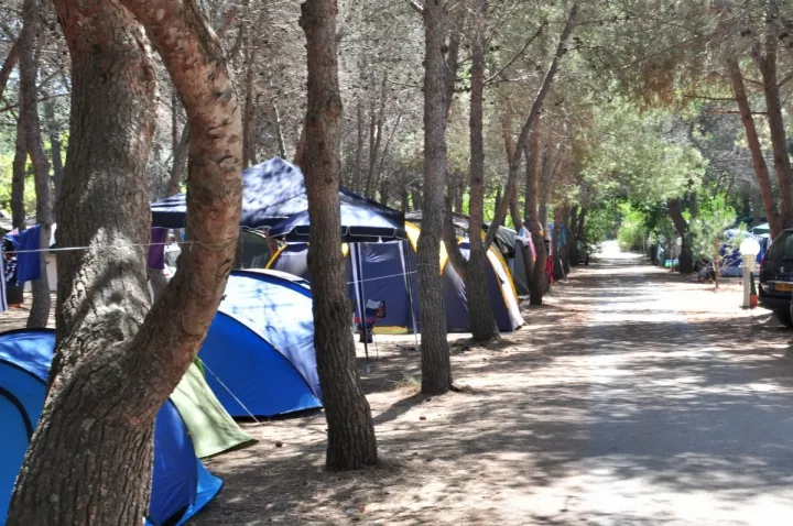 Camping - Olmeto - Corse - Ras L'Bol