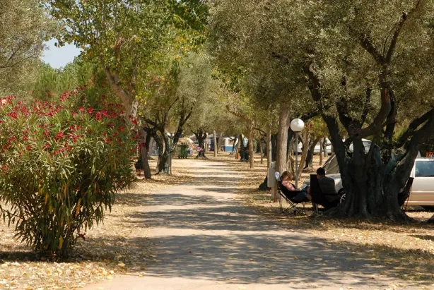 Camping - Mont-ras - Costa Brava - Relax-Ge