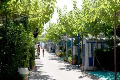 Camping - Oropesa del Mar - Costa de Valencia - Riberamar