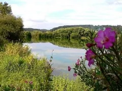 Camping - Toutainville - Haute-Normandie - Risle-Seine les Etangs