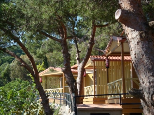 Camping - Calella - Costa Brava - Roca Grossa - Image #3