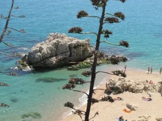 Camping - Calella - Costa Brava - Roca Grossa