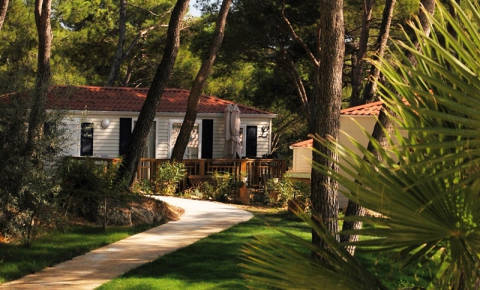 Camping - Castelnau-de-Guers - Languedoc-Roussillon - résidentiel la Pinède - Image #11