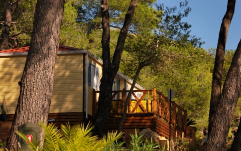 Camping - Castelnau-de-Guers - Languedoc-Roussillon - résidentiel la Pinède - Image #9