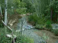 Camping - Moustiers-Sainte-Marie - Provence-Alpes-Côte d'Azur - Saint Clair