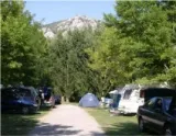 Camping - Moustiers-Sainte-Marie - Provence-Alpes-Côte d'Azur - Saint Clair