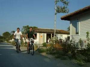 Camping - Le Grau-du-Roi - Languedoc-Roussillon - Secrets de Camargue