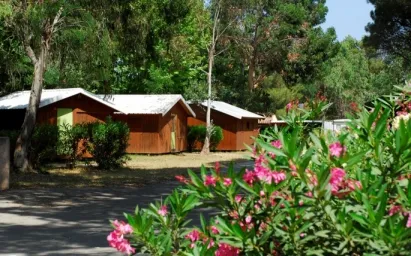Camping - Cogolin - Provence-Alpes-Côte d'Azur - Soko Lodges