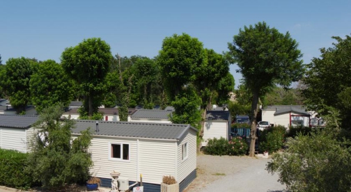 Camping - Argelès-sur-Mer - Languedoc-Roussillon - Sol Y Mar