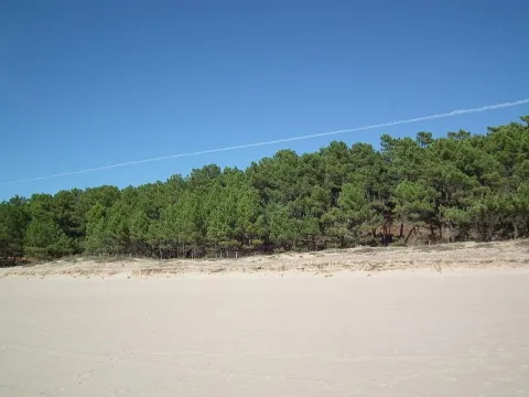 Camping - Meschers-sur-Gironde - Poitou-Charentes - Soleil Levant