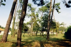 Camping - La Tremblade - Poitou-Charentes - Sous Les Pins