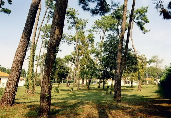 Camping Sous Les Pins - La Tremblade