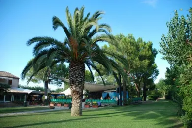 Camping - Fermo - Marches - Spinnaker