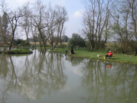 Camping - Le Crotoy - Picardie - Tarteron