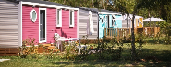 Camping - Argelès-sur-Mer - Languedoc-Roussillon - Taxo Les Pins - Image #14
