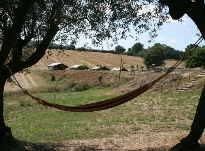 Camping - Senigallia - Marches - Tenuta Tredici Olivi