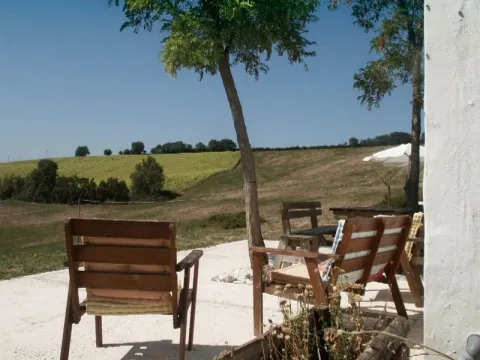 Camping - Senigallia - Marches - Tenuta Tredici Olivi