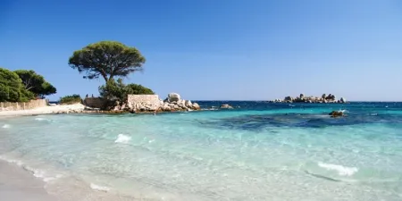 Camping - Porto-Vecchio - Corse - U Pirellu