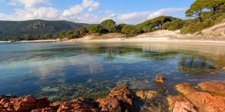 Camping - Porto-Vecchio - Corse - U Pirellu - Image #3