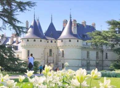 Camping - Vineuil - Grand Centre - Val de Blois