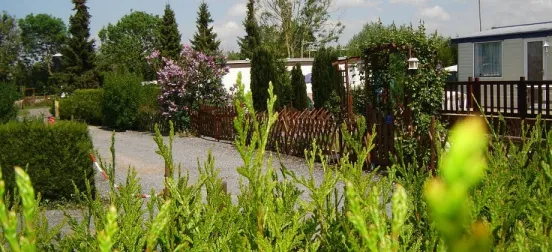 Camping - Zuytpeene - Nord-Pas de Calais - Val de Cassel