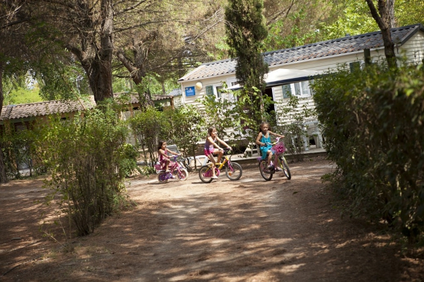 Camping - Cadenet - Provence-Alpes-Côte d'Azur - Val de Durance - Image #11