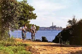 Camping - Rovinj - Istrie - Valdaliso