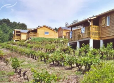 Camping - Saint-Cirgue - Midi-Pyrénées - Vallée du Tarn