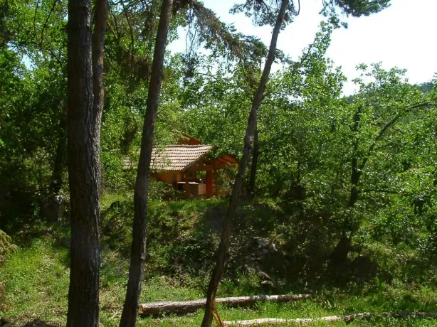 Camping - Simiane-la-Rotonde - Provence-Alpes-Côte d'Azur - Valsaintes