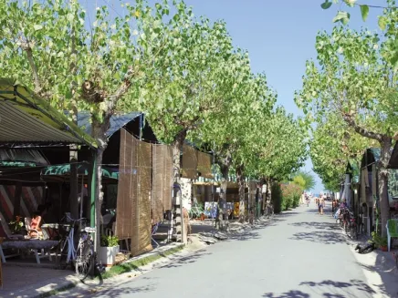 Camping - Fermo - Marches - Verde Mare