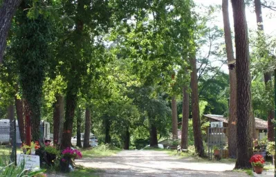 Camping - Saint-Symphorien - Aquitaine - Vert Bord’Eau