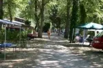 Camping - Millau - Midi-Pyrénées - Viaduc