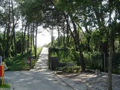 Camping - Viana do Castelo - Norte - Viana do Castelo