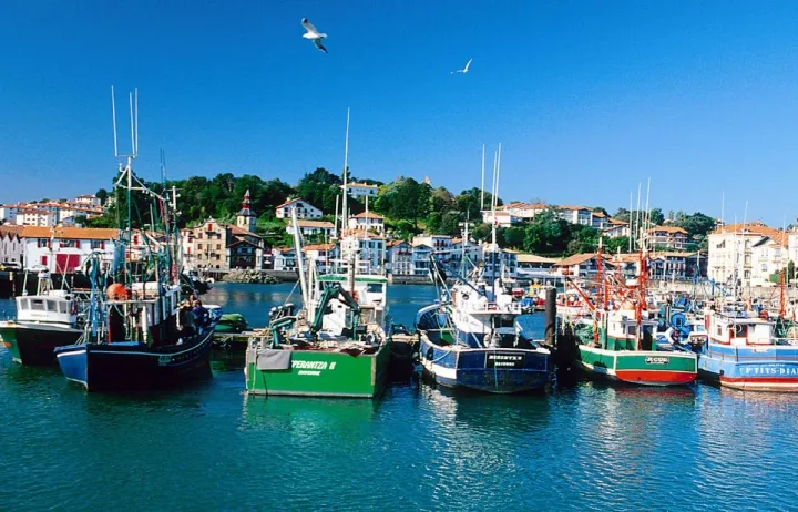 Camping - Hendaye - Aquitaine - Village Auguste Delaune