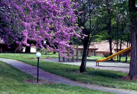Camping - Saint-Denis-lès-Martel - Midi-Pyrénées - Village de Gites Chateau de Termes