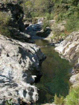 Camping - Saint-Étienne-Vallée-Française - Languedoc-Roussillon - Village de Gîtes Le Martinet