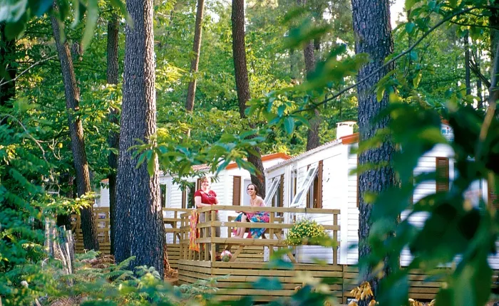 Camping - Joyeuse - Rhône-Alpes - Village de vacances la Croix de Vinchannes