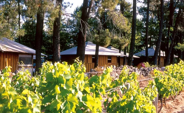 Camping - Joyeuse - Rhône-Alpes - Village de vacances la Croix de Vinchannes