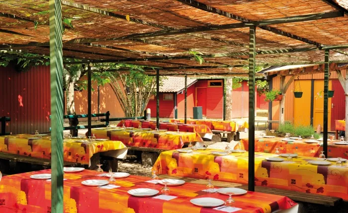 Camping - Sabres - Aquitaine - Village de vacances le Domaine de Peyricat