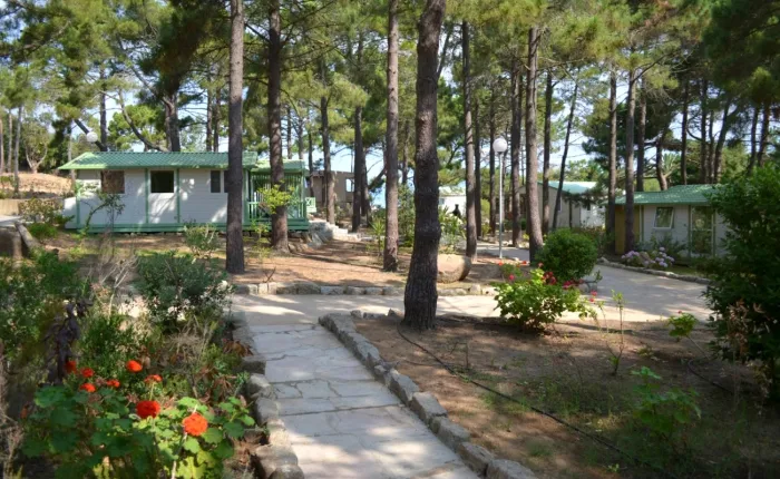 Camping Village de vacances U Livanti - Belvédère-Campomoro