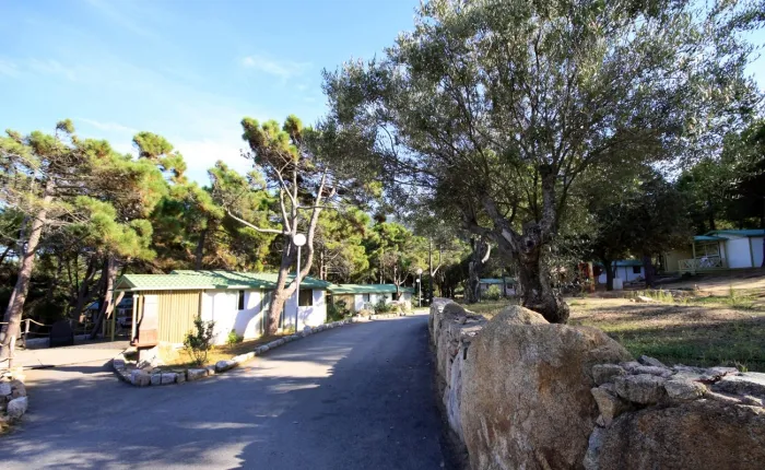 Camping - Belvédère-Campomoro - Corse - Village de vacances U Livanti