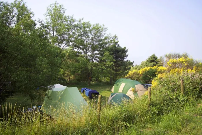 Camping - Capraia e Limite - Toscane - Village San Giusto