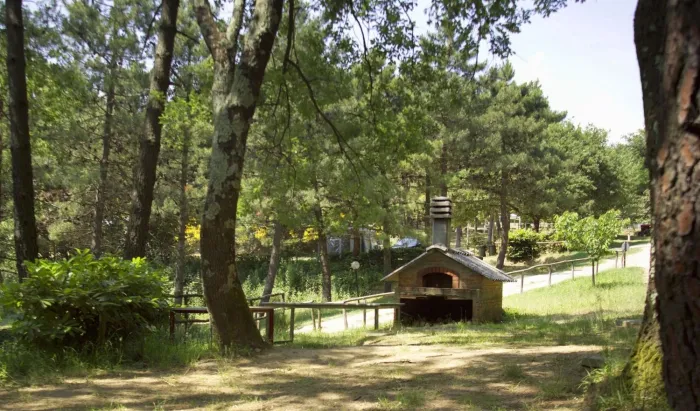 Camping - Capraia e Limite - Toscane - Village San Giusto