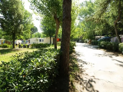 Camping - Fondi - Latium - Village Settebello
