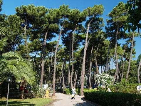 Camping - Fondi - Latium - Village Settebello