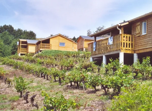 Camping - Saint-Cirgue - Midi-Pyrénées - Village Vacances Ambialet Le Hameau des Vignes