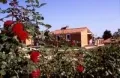 Camping - La Bussière - Poitou-Charentes - Village Vacances La Bertholière